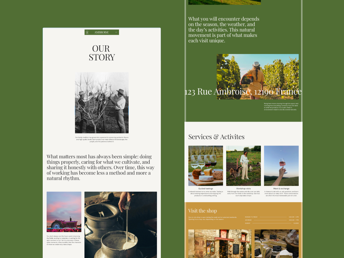 Maquettes du template Ambroise présentant son histoire, des activités et des photographies de vignobles.